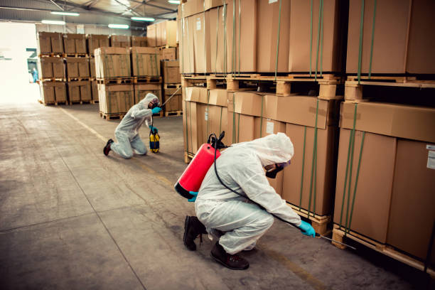 Best Pest Control Near Me  in University Place, WA