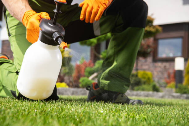 Best Mosquito Control Services  in University Place, WA